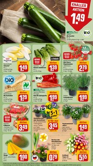 Blumen im aktuellen REWE Prospekt (Augsburg) Blumen im REWE Prospekt "Dein Markt" mit 32 Seiten (Augsburg)