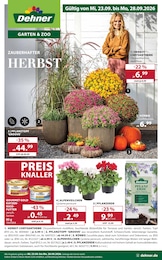 Dehner Garten-Center Prospekt für Aschaffenburg mit 16 Seiten Dehner Garten-Center Prospekt für Aschaffenburg: "ZAUBERHAFTER HERBST", 16 Seiten, 23.09.2026 - 28.09.2026