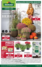 Dehner Garten-Center Baumärkte Prospekt der aktuellen Woche mit 16 Seiten, gültig von 23.09.2026 bis 28.09.2026, in Petting und Umgebung Aktueller Dehner Garten-Center Baumärkte Prospekt in Petting und Umgebung, "ZAUBERHAFTER HERBST" mit 16 Seiten, 23.09.2026 - 28.09.2026