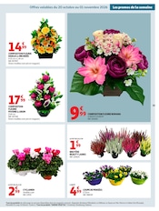 Promos Orchidée dans le catalogue "BIEN AU CHAUD" de Auchan Hypermarché à la page 59 Promos Orchidée dans le catalogue "BIEN AU CHAUD" de Auchan Hypermarché à la page 59