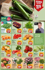 Ähnliche Teichpflanzen Angebote im Prospekt "Dein Markt" von REWE in Neuss Ähnliche Angebote wie Teichpflanzen im Prospekt "Dein Markt" auf Seite 7 von REWE in Neuss