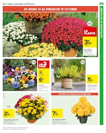 Prix et réduction Pensées dans le prospectus Carrefour Market en cours Offre Pensées dans le catalogue Carrefour Market du moment à la page 23