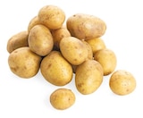 Bio Speisekartoffeln Angebote von REWE Bio bei REWE Oldenburg für 1,39 €