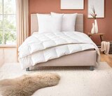 Aktuelles Steppbett Ambiente Angebot bei Segmüller in Augsburg