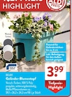 Geländer-Blumentopf bei ALDI SÜD im Mellrichstadt Prospekt für 3,99 €