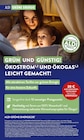 GRÜN UND GÜNSTIG! ÖKOSTROM UND ÖKOGAS LEICHT GEMACHT! bei ALDI SÜD im Walldorf Prospekt für 