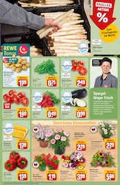 Ähnliche Glanzmispel Angebote im Prospekt "Dein Markt" von REWE in Regensburg Ähnliche Angebote wie Glanzmispel im Prospekt "Dein Markt" auf Seite 7 von REWE in Regensburg