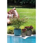 Pot Capri à 14,99 € dans le catalogue Carrefour