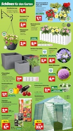 Thomas Philipps Blumentopf im Prospekt 