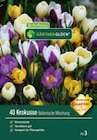 Krokusse „Botanische Mischung“ im Angebot bei Raiffeisenmarkt in Ibbenbüren Krokusse „Botanische Mischung“ Angebote von GÄRTNERGLÜCK bei Raiffeisenmarkt Ibbenbüren für 4,99 €
