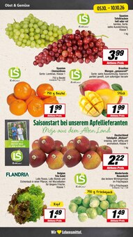 Äpfel im E center Prospekt "Aktuelle Angebote" mit 26 Seiten (Münster)