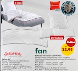 Bettdecke im Penny Prospekt Steppdecke ca. B 135 x L 200 cm von fan im aktuellen Penny Prospekt für 12,99 €