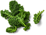 Dtsch. Grünkohl im aktuellen Kaufland Prospekt