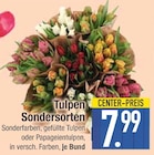 Tulpen Sondersorten Angebote bei EDEKA Ingolstadt für 7,99 €