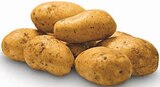 Aktuelle Kartoffeln Angebote bei nah&frisch in Osnabrück Aktuelles Speisefrühkartoffeln Angebot bei nah&frisch in Osnabrück ab 1,88 €