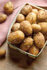 Pomme de terre primeur itm terroirs igp de noirmoutier et/ou aop de l'ile de ré - Intermarché à Hyères Pomme de terre primeur itm terroirs igp de noirmoutier et/ou aop de l'ile de ré en promo chez Intermarché Hyères à 2,49 €