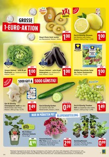 Paprika im aktuellen EDEKA Prospekt (Ulm) Paprika im EDEKA Prospekt "Aktuelle Angebote" mit 47 Seiten (Ulm)