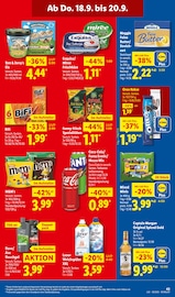 Snickers im Lidl Prospekt in Münster Aktueller Lidl Prospekt mit Snickers, "LIDL LOHNT SICH", Seite 63