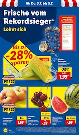 Mais im Lidl Prospekt in Remscheid Aktueller Lidl Prospekt mit Mais, "LIDL LOHNT SICH", Seite 60