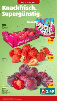 Erdbeeren im Penny Prospekt "Wer günstig will, muss Penny." mit 42 Seiten (Stuttgart)