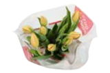 Tulpen im Angebot bei E aktiv markt in Buchholz Tulpen Angebote bei E aktiv markt Buchholz für 2,59 €