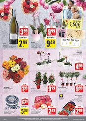 Orchidee im EDEKA Prospekt in Chemnitz Aktueller EDEKA Prospekt mit Orchidee, "Wir lieben Lebensmittel!", Seite 6