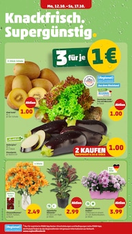 Salat im aktuellen Penny Prospekt (Frankfurt (Main)) Salat im Penny Prospekt "Wer günstig will, muss Penny." mit 44 Seiten (Frankfurt (Main))