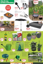 Gartendeko im GLOBUS Prospekt in Gotha Aktueller GLOBUS Prospekt mit Gartendeko, "Aktuelle Angebote", Seite 30