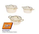 Kochtöpfe im Angebot bei Action in Aschaffenburg Kochtöpfe Angebote bei Action Aschaffenburg für 29,98 €