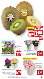 Obst im EDEKA Prospekt in Koblenz Aktueller EDEKA Prospekt mit Obst, "Aktuelle Angebote", Seite 4