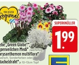 Silberdraht für 1,99 € bei EDEKA im Angebot Silberdraht im aktuellen EDEKA Prospekt