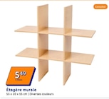 Étagère murale dans le catalogue Action