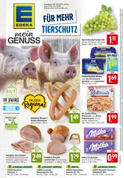 Aktueller E center Supermarkt Prospekt in Lindenfels und Umgebung, "Aktuelle Angebote" mit 44 Seiten, 13.10.2025 - 18.10.2025