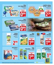 Aktueller EDEKA Prospekt mit Sahne, "Wir lieben Lebensmittel.", Seite 8