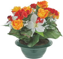 Serre De Jardin - Gifi Serre De Jardin à 15,00 € dans le catalogue Gifi "Vive la frousse"