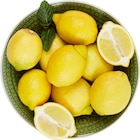 Citron - CRF LE MARCHE - Carrefour Citron - CRF LE MARCHE à 2,99 € dans le catalogue Carrefour