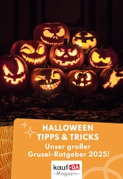 kaufDA Magazin Prospekt für Sundhagen mit 1 Seite kaufDA Magazin Prospekt für Sundhagen: "Halloween Ratgeber", 1 Seite, 14.10.2025 - 31.10.2025