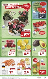 Erdbeeren im combi Prospekt in Cuxhaven Aktueller combi Prospekt mit Erdbeeren, "Markt - Angebote", Seite 3