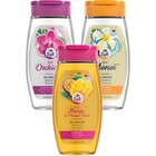 SUR TOUS LES GELS DOUCHE 250 ML - CARREFOUR SOFT en promo chez Carrefour Market SUR TOUS LES GELS DOUCHE 250 ML - CARREFOUR SOFT dans le catalogue Carrefour Market
