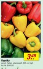 Aktuelles Paprika Angebot bei toom Baumarkt in Reutlingen ab 3,49 €
