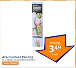 Diamond Painting Angebote von Avec bei Action Magdeburg für 3,49 €