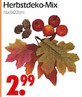 Herbstdeko-Mix bei Wreesmann im Prospekt "" für 2,99 €