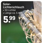 Solar-Lichterschlauch im Rossmann Prospekt Solar-Lichterschlauch im aktuellen Rossmann Prospekt für 5,99 €