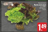 Aktuelles Multicolorsalat Angebot bei E center in Wuppertal ab 1,49 €