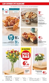 Chrysanthèmes Angebote im Prospekt "U Express" von U Express auf Seite 28
