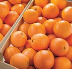 Orange à jus dans le catalogue Netto