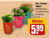 Mrs. Always Right Angebote bei REWE Ludwigsburg für 5,99 €
