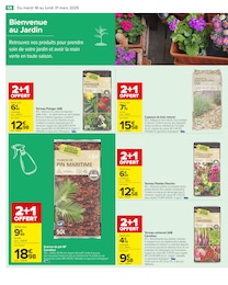 Offre Terreau Potager dans le catalogue Carrefour du moment à la page 60