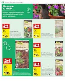 Promo Plantes dans le catalogue Carrefour du moment à la page 60