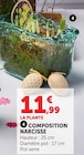 Composition narcisse en promo chez Super U Caen à 11,99 €